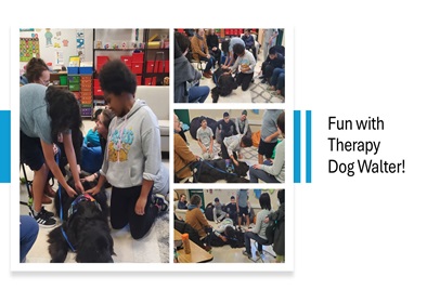  Fun with Therapy Dog Walter
